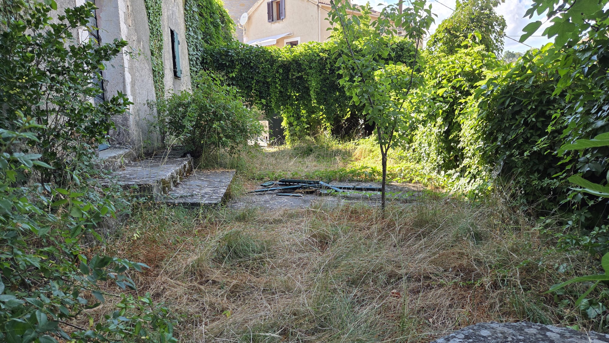 Cour et abords d’une maison envahis par la végétation avant le désherbage