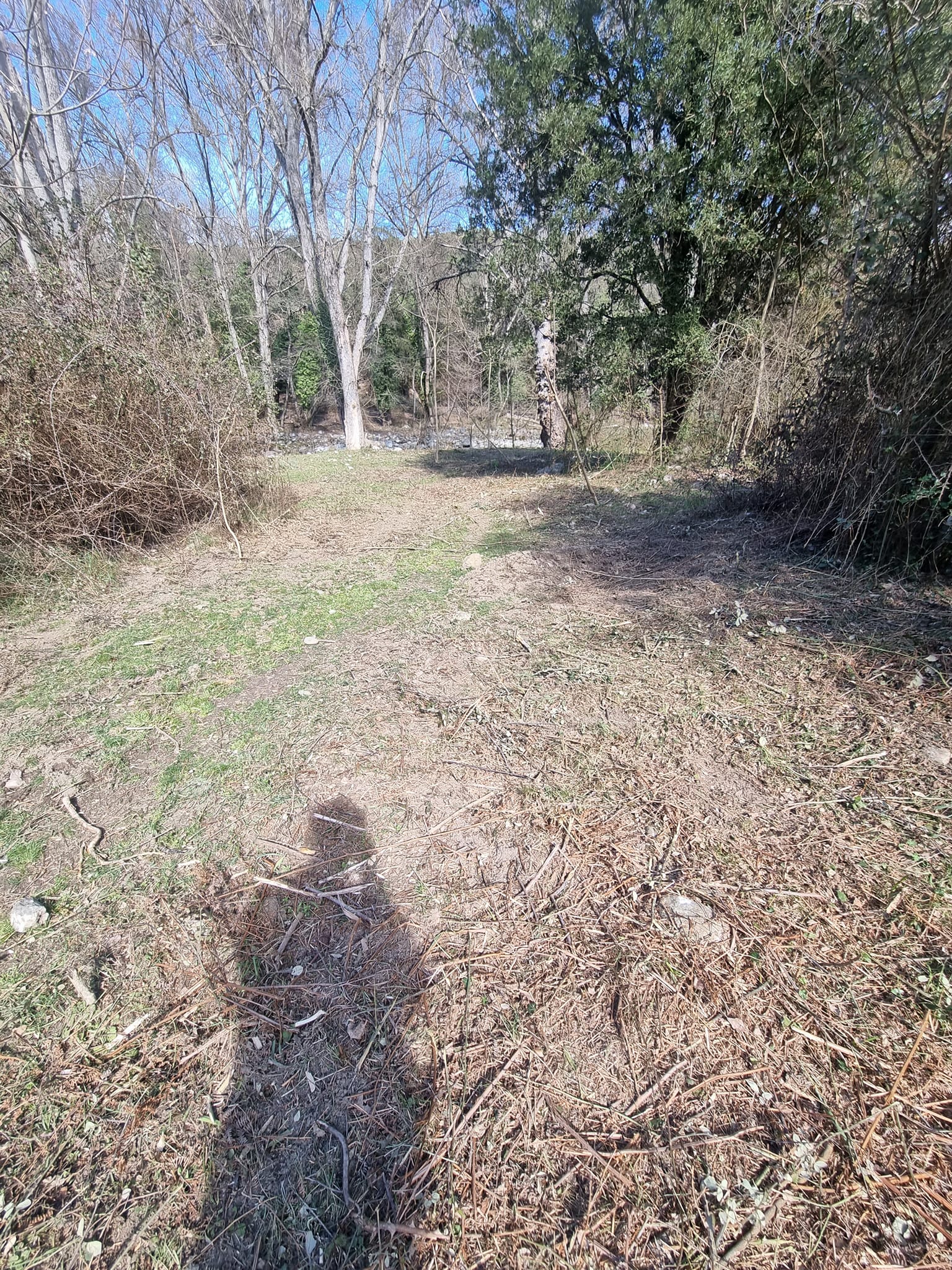Terrain dégage après démaquisage - Venaco