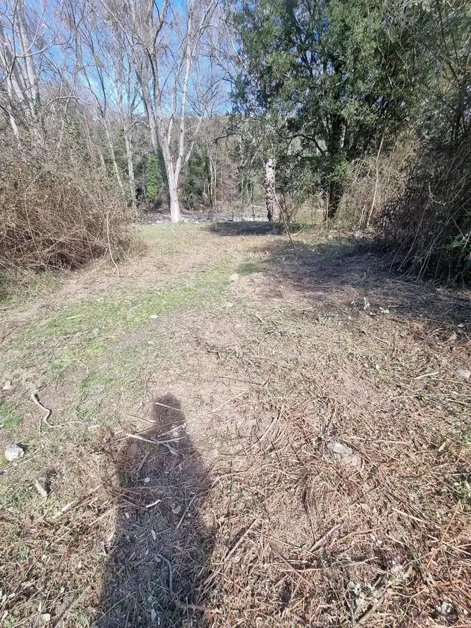 Terrain dégagé après l’intervention