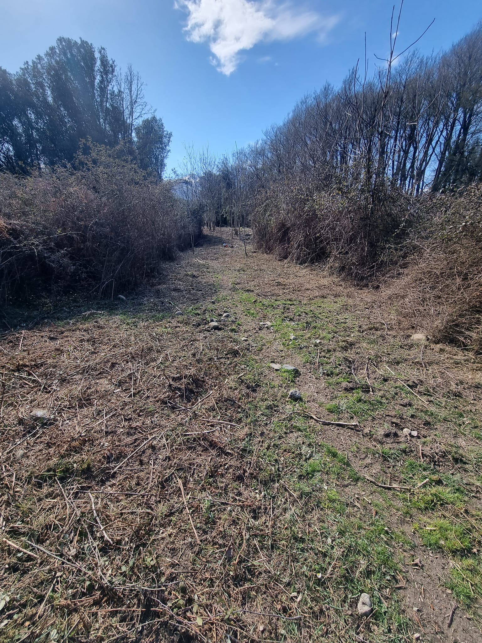 Chemin dégage après démaquisage - Corte