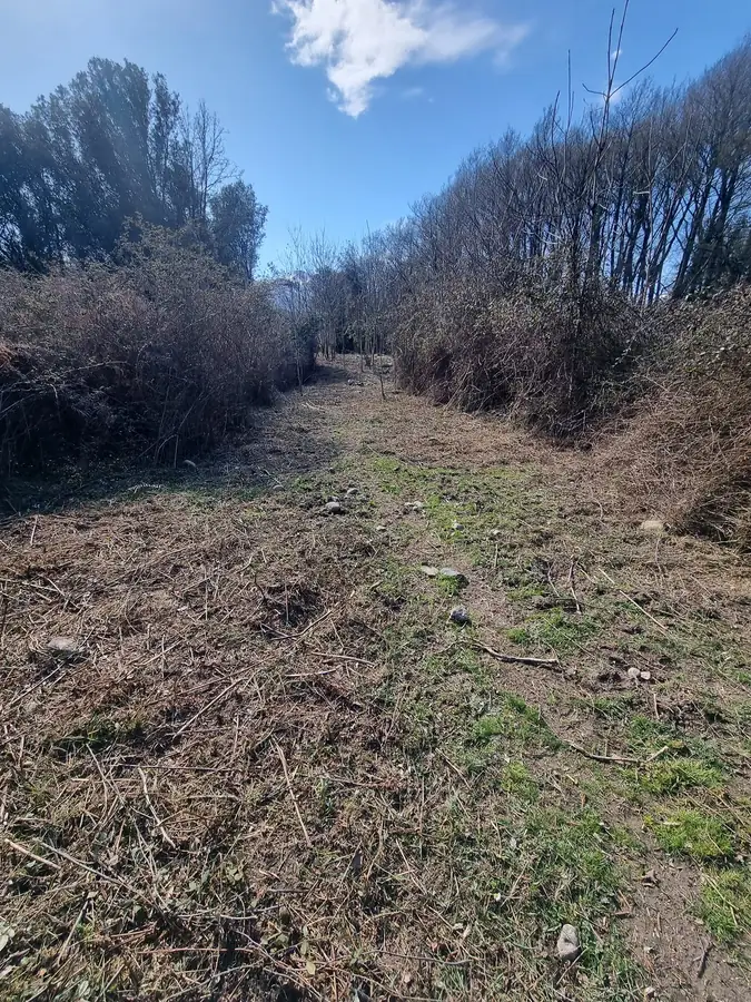 Terrain et chemin dégagés après un débroussaillage à Corte et en Centre Corse
