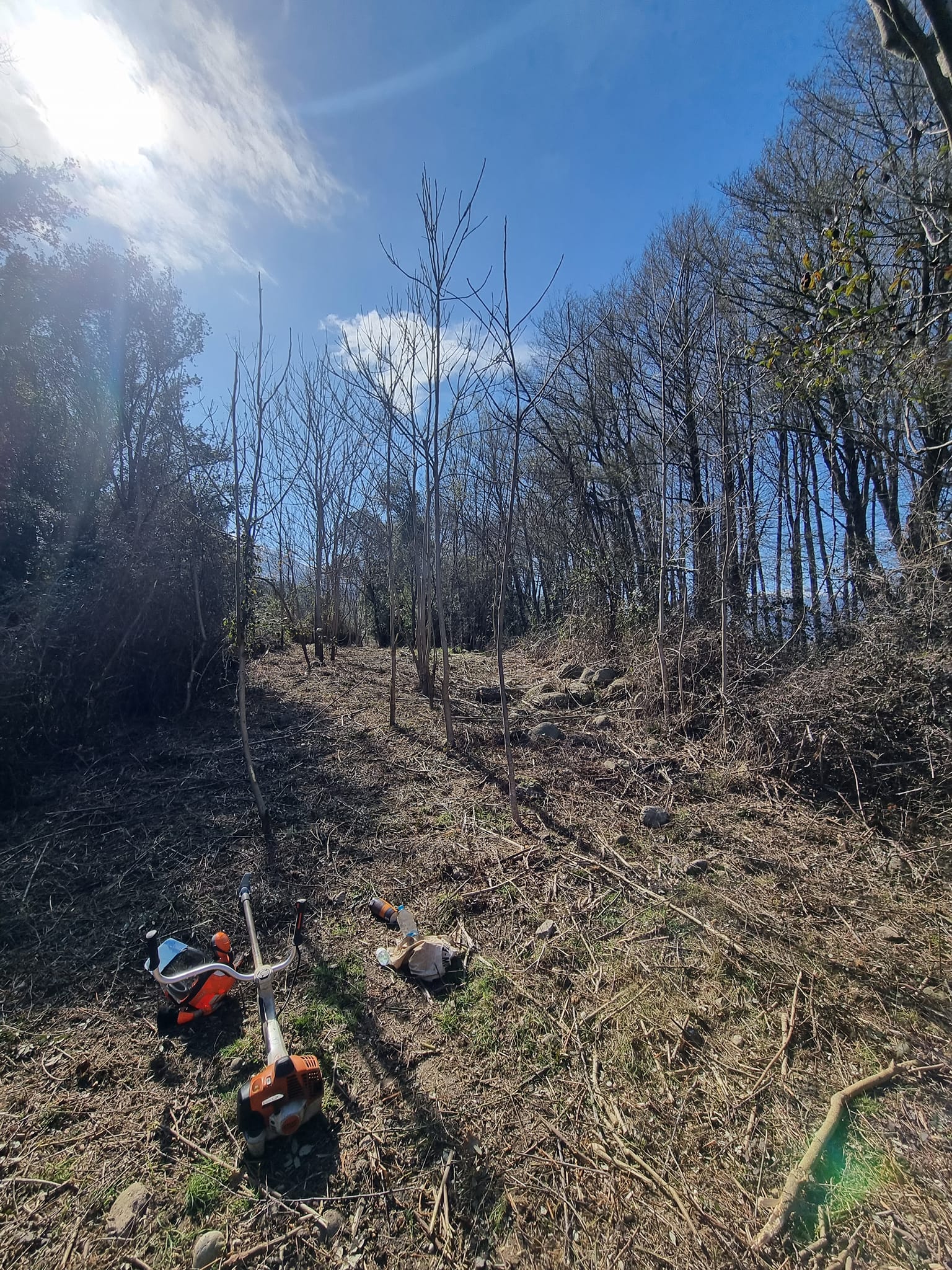 Terrain en pente dégage après démaquisage - Haute-Corse