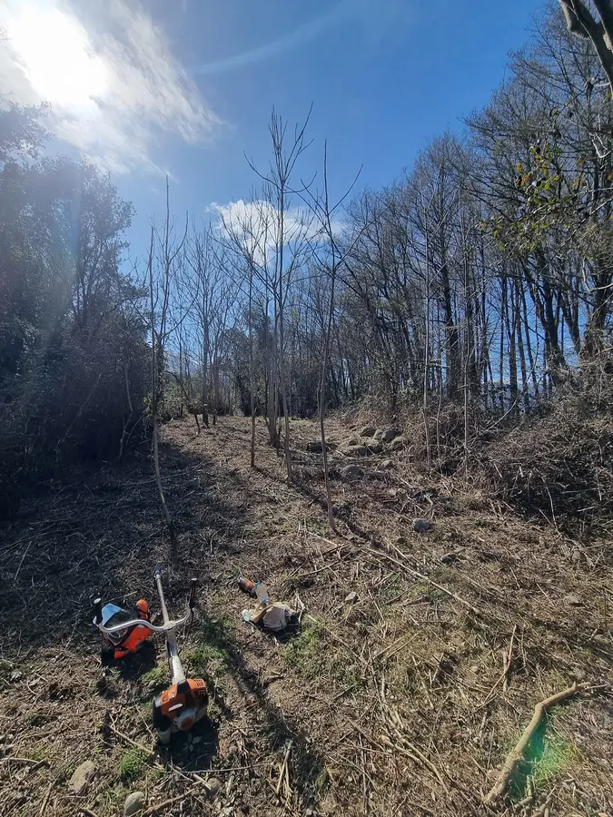 Terrain en pente après débroussaillage