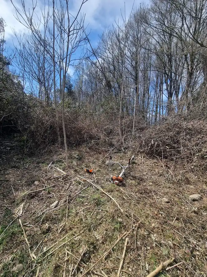 Terrain en pente avant débroussaillage