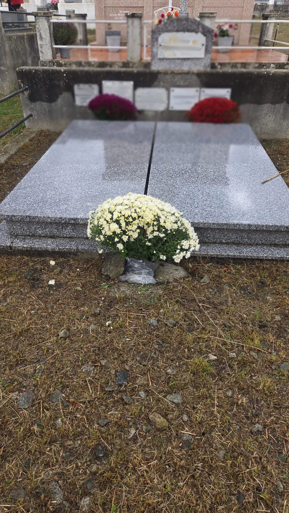 Tombe et pourtour dégagés après l’intervention